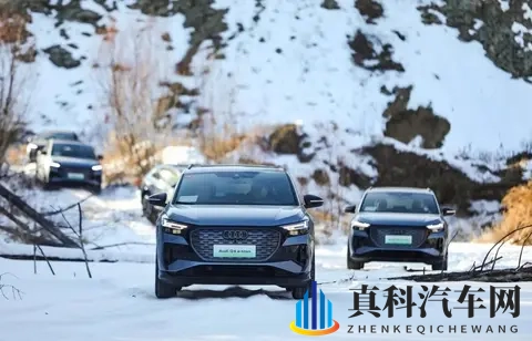 盘点五款降价幅度较大的车型，有纯电也有燃油车，能“捡漏”？-3