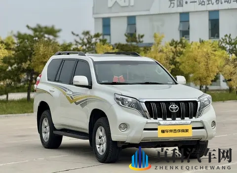 客官不可以下载网站:汽车网站下载陷阱揭秘,教你轻松识别!-3