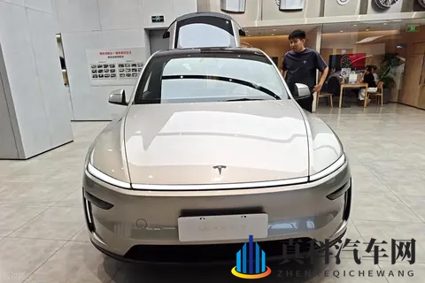 2024新能源车市风向标：豪华品牌电动化转型谁领跑？-1