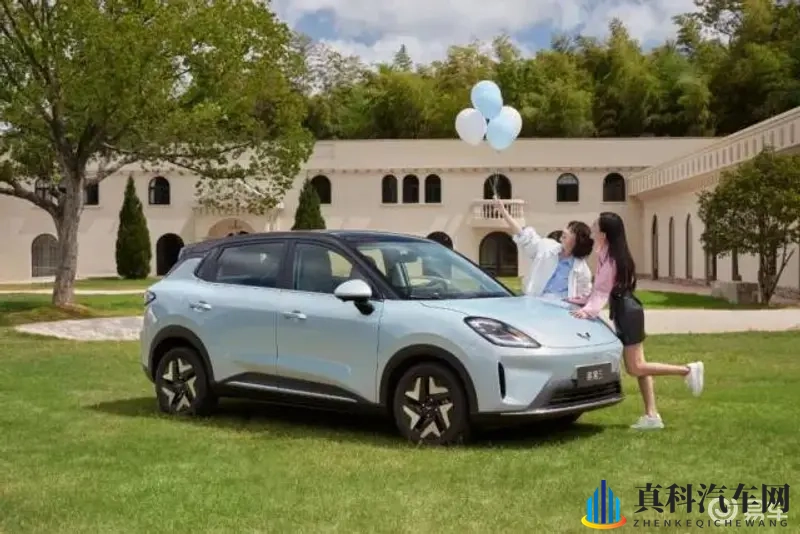 三年大片大全免费观看国语:新能源汽车新车型,特斯拉Model Y领衔上市-1