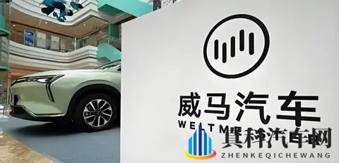 威马“物理复活”只是第一步，“市场复活”才是终极目标-1