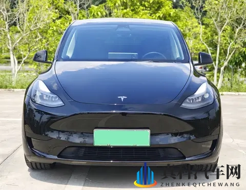 15万多拿下22年Model Y,圆你特斯拉梦?-3