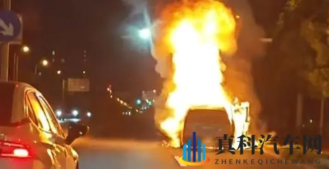 理想MEGA召回背后:一个小瓶子里的蝴蝶风暴-2