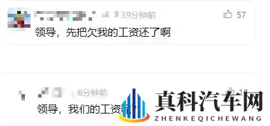 威马复活能活多久?接盘公司参保人数0,市场被吉利零跑瓜分干净-2