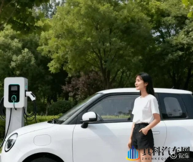 男男伦流澡∽tm别添了：新能源汽车崛起，智能化配置成购车新标准-1