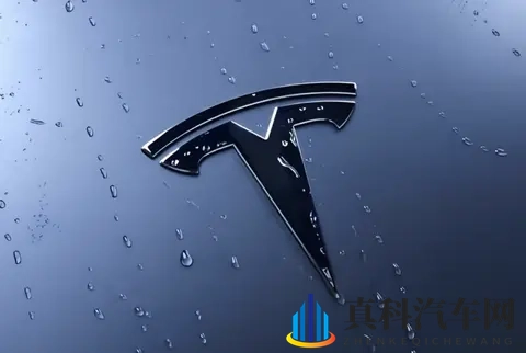 特斯拉成简配“鲶鱼”，中国品牌如何应对？-2