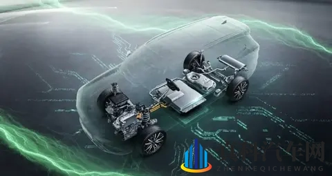 8x8x海外华人：全球华人分布概览，聚焦8x8海外格局-2