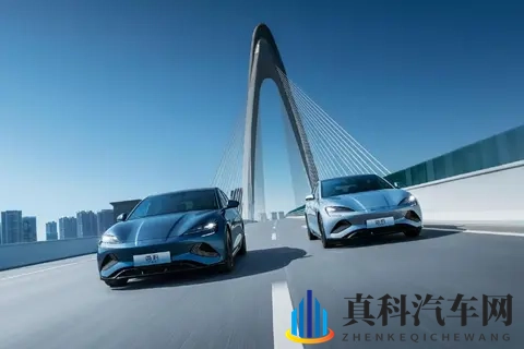 丢掉中国第一！比亚迪疲态显现、快装不下去了？-1