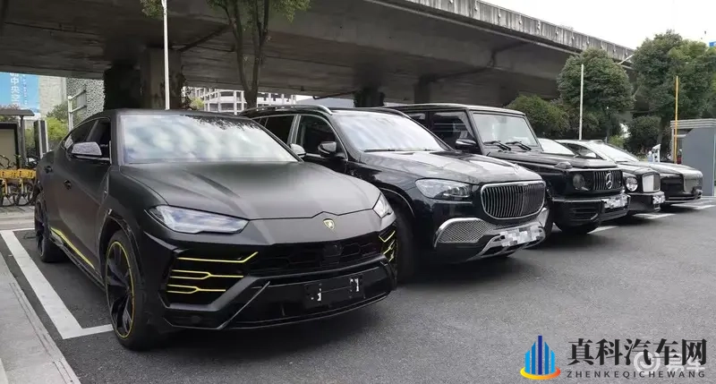 豪车圈新宠岚图泰山,凭什么吸引富翁-1