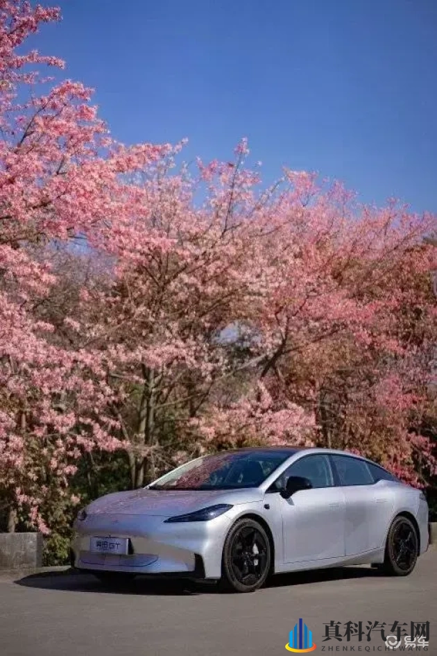 欧美又粗又长:豪华巨兽!欧系美系车设计新篇章引关注-1