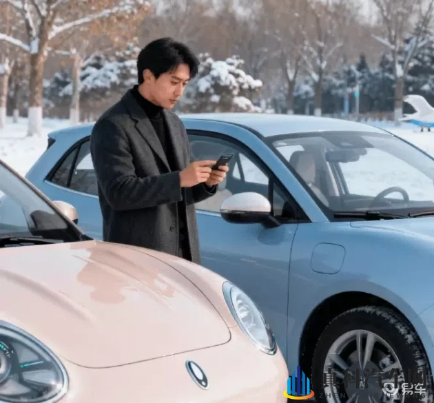 欧拉好猫 VS 海鸥:冬季续航大比拼,谁更耐寒-1