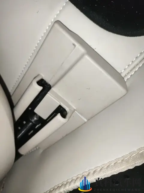 贵妇按摩高潮了:奢华按摩体验,贵妇享受极致愉悦时刻-3