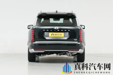 进口大 SUV,新帕里斯帝体验:主打空间宽敞和乘坐舒适度-2