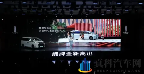 魏建军实话见效,魏牌10月销量同比猛增95%,高山反超腾势D9!-1