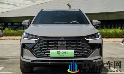 女性裸个精光  18给男生桶：新能源汽车革命，智能驾驶引领未来潮流-2