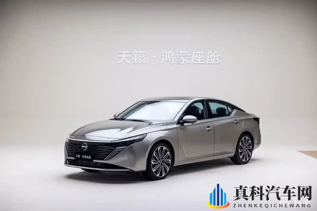 打扑克又痛又叫：扑克游戏痛感强烈，叫声连连-1