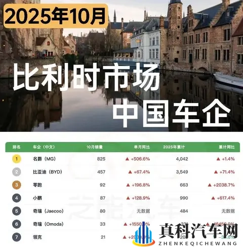 欧洲车市  比利时2025年10月：中国车企1620台-3