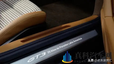 保时捷推出全新Sonderwunsch定制版911 GT3 “豹猫”-1