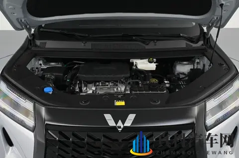 真7座大空间，入门即高配，10万级家用MPV选它准没错-1