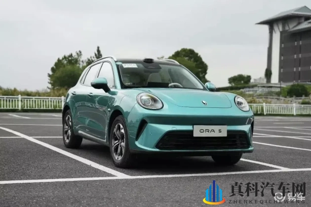 色五月婷婷六月丁香:春末夏初,花香满园,芬芳四溢-1