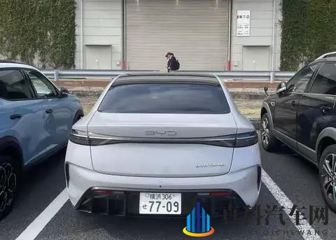 在日本,什么人在买电动车?探秘岛国EV消费的独特生态-2