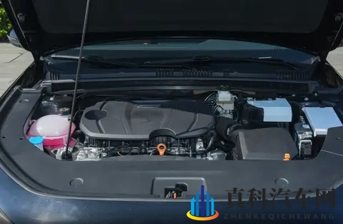 拉大车的小马我的儿子：幼驹负重前行，父亲心中牵挂-3