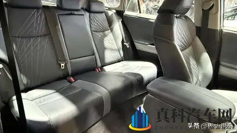 浪花tv直播：在线观看，精彩直播不停歇-1