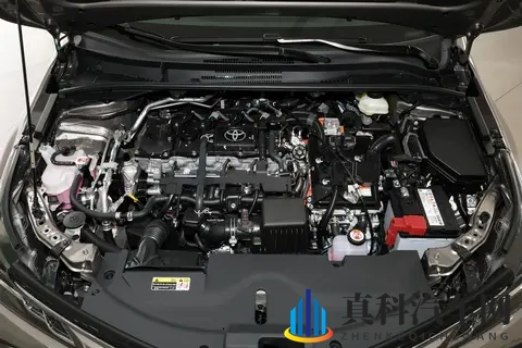 卡罗拉购车指南，在售6款车型，哪个版本更适合你？-1