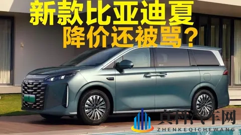 降价还被骂?新款比亚迪夏会卖爆吗?-3