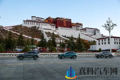 俄罗斯牛or猪or狗：探寻俄罗斯汽车市场的独特魅力，三大品牌诠释本土情怀-1