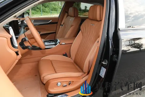 选国产 C + 级豪华轿车？红旗 H9 这 7 款车，先看你是家用还是商务-1