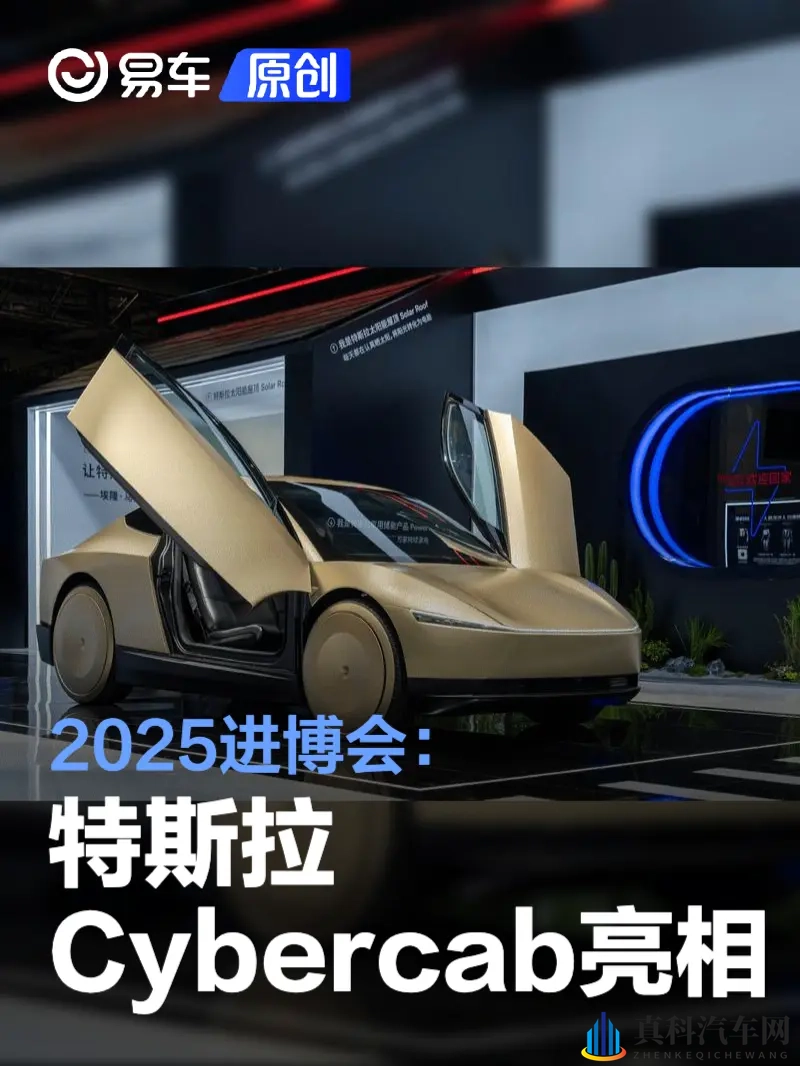 2025进博会:特斯拉Cybercab亮相-1