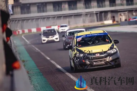 9月份全国只有16人懂车,剁椒鱼头逼宫飞度-3