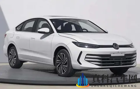 朗逸Pro11月上市! 隐藏门把手配电子怀挡,家用车要变天了-3