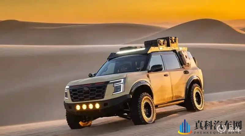 铿锵锵锵锵锵锵锵锵海外：海外汽车市场：品牌激战，新能源和智能驾驶领航-1