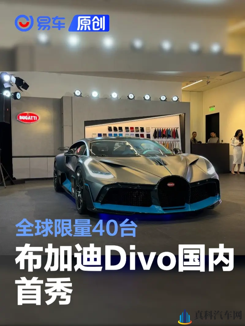 成人优酷：成人娱乐，精选视频汇聚地-2