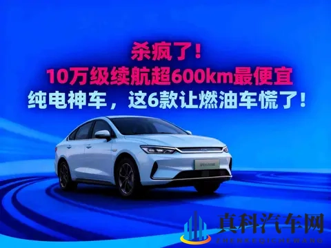 杀疯了!10万级续航超600km最便宜纯电神车,这6款让燃油车慌了!-3