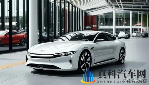 “我被黑惨了” 为什么每家车企都觉得自己是“窦娥冤”?-2