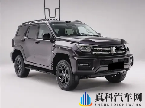 再等2天，新一代坦克400将上市发售，四种动力可选-2