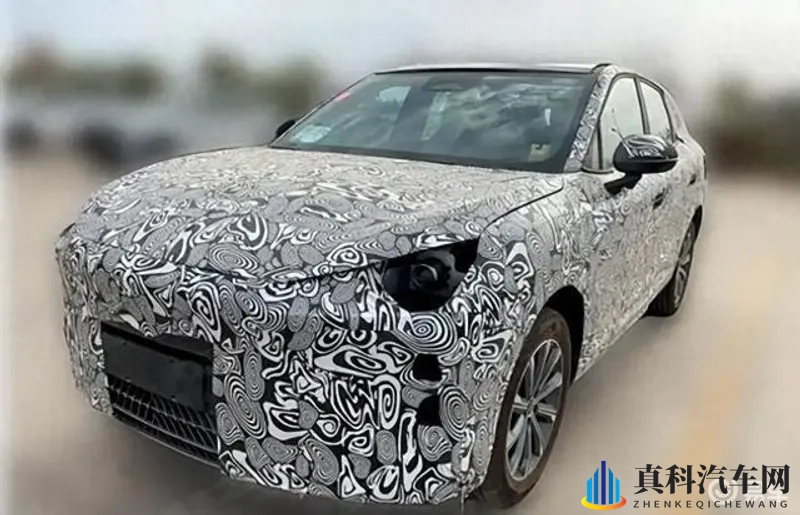 国产乱轮：汽车市场风云再起，国产品牌如何破局？-1