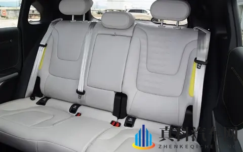 9月销量仅1995台,smart 精灵 #1为何销量平平?-2