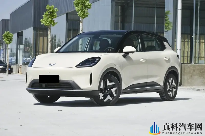 五菱缤果S购车手册！推荐入手旗舰款，性价比更高-1