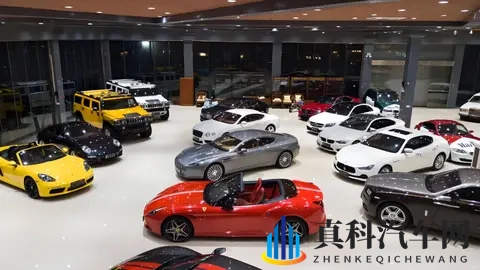 中国新能源车“平替”成风，传统豪华光环正在消散-3