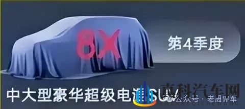 极氪9X小弟极氪8X：30万级插混新卷王，400km纯电，四季度上市！-1