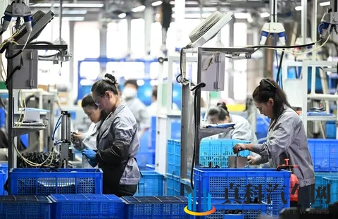 公与舒婷厨房猛烈出电影：公舒联手，厨艺非凡，银幕佳作闪亮登场-1