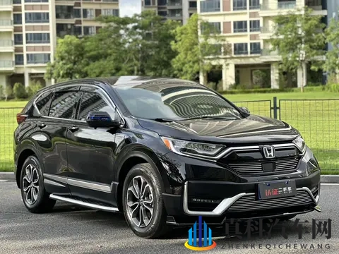 五月丁香亭亭六月色：五月丁香绽放，六月美景如画-2