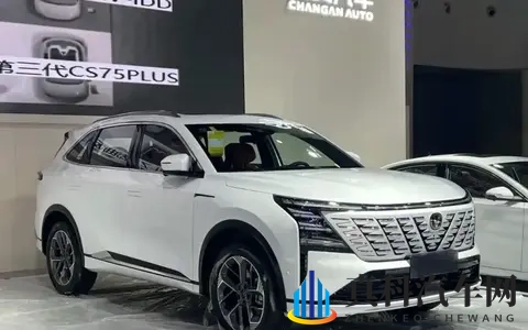 2025年10月SUV销量出炉:国产车杀疯了,合资跌惨,新能源哑火?-3