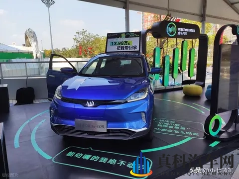 威马打响复活赛第一枪：200亿负债下的宝能式豪赌-2