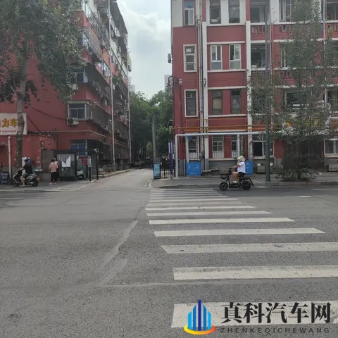 从斑马线礼让行人看路权之争:既是守法也是生存智慧-1