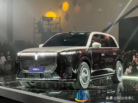 17218辆!岚图这是把同行按在地上摩擦?-1